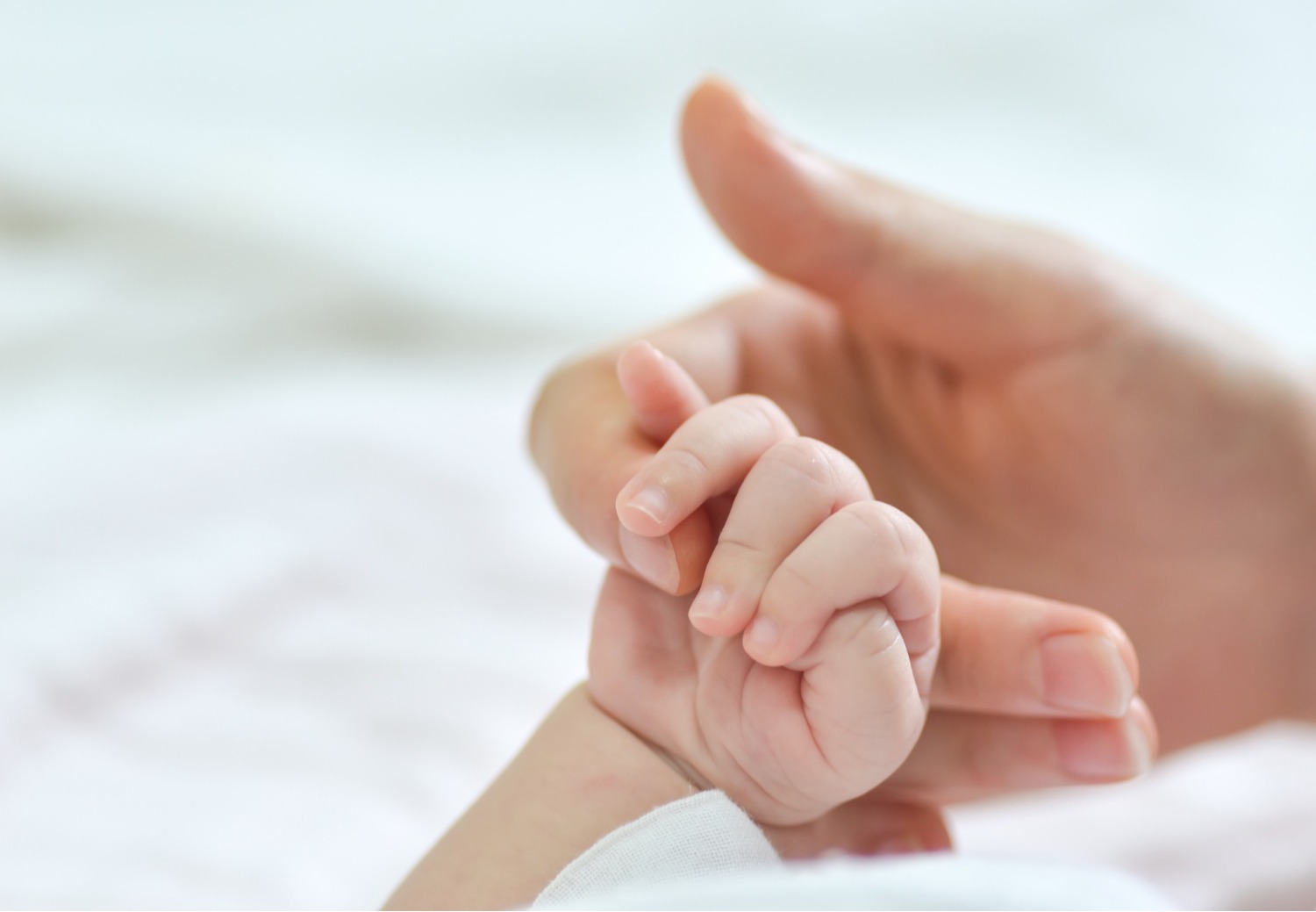 Ella Baby — Premium Playpen Brand